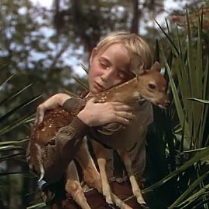 Bilder Die Wildnis ruft