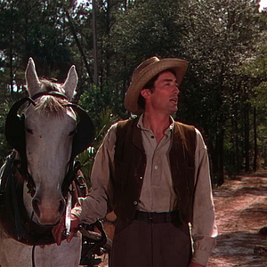 Bilder Die Wildnis ruft