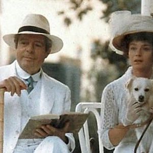 Bilder Schwarze Augen