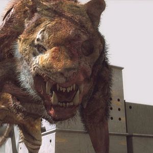 Bilder 2012 Zombie Apocalypse