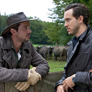 Bilder Die Büffel sind los!