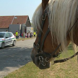 Bilder Worauf warten wir noch?