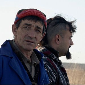 Bilder Seit die Welt Welt ist