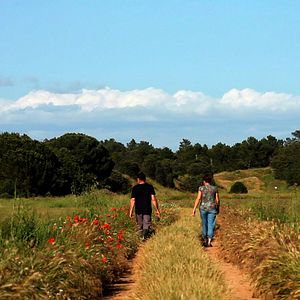 Bilder Seit die Welt Welt ist