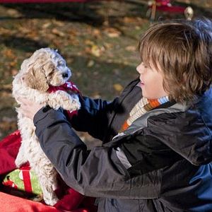 Bilder The Night Before the Night Before Christmas