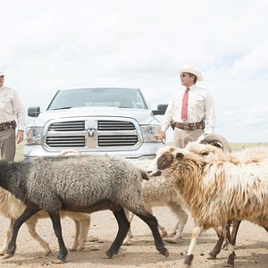 Bilder Gil Birmingham