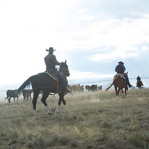 Bilder Hell Or High Water