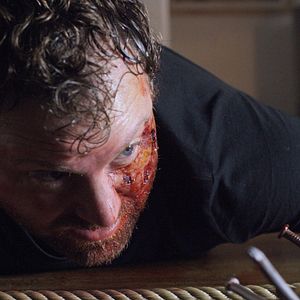 Bilder Even Lambs Have Teeth