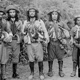 Bilder Der parfümierte Ball