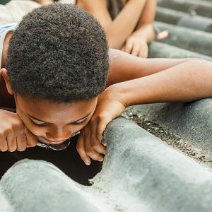 Bilder Pelé - Der Film