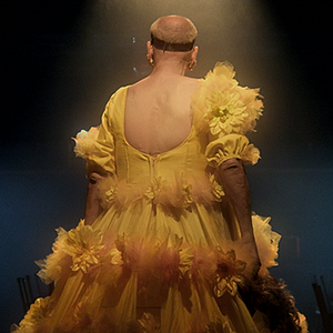 Bilder Divinas Divas