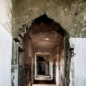 Bilder Holocausto Brasileiro