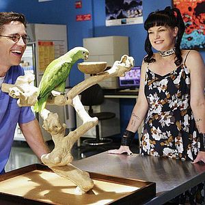 Bilder Pauley Perrette