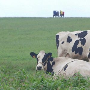 Bilder Footprints: The Path of Your Life