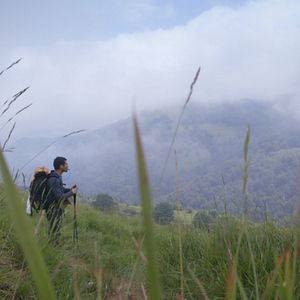 Bilder Footprints: The Path of Your Life