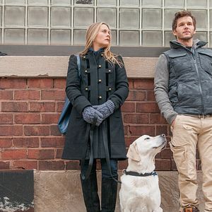 Bilder Alicia Silverstone