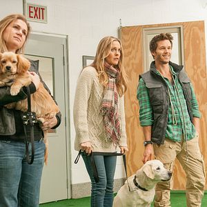 Bilder Wer kriegt den Hund?