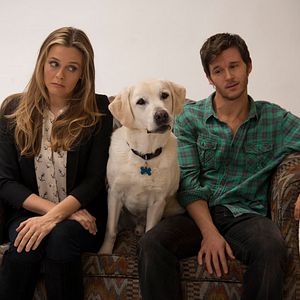 Bilder Alicia Silverstone