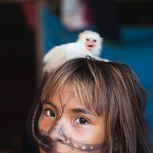 Bilder O Jabuti e a Anta