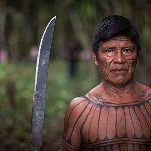 Bilder O Jabuti e a Anta