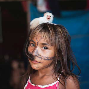 Bilder O Jabuti e a Anta