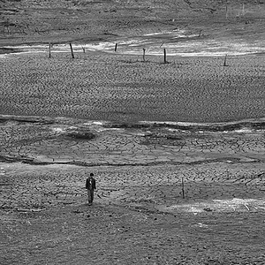 Bilder O Jabuti e a Anta