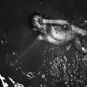 Bilder O Jabuti e a Anta