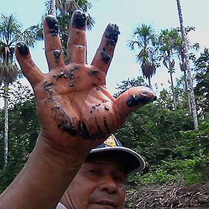 Bilder How To Let Go Of The World (And Love All The Things Climate Can't Change)