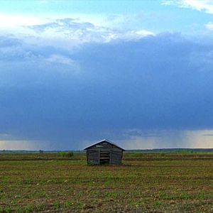 Bilder Was Männer sonst nicht zeigen
