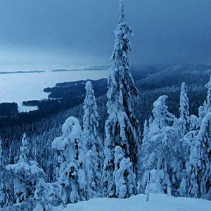 Bilder Was Männer sonst nicht zeigen