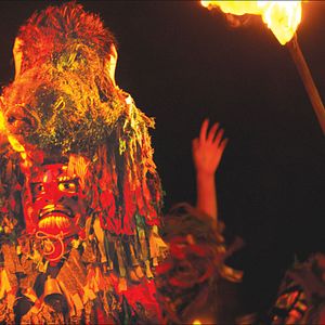 Bilder Der Ornithologe