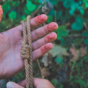 Bilder Der Ornithologe