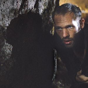 Bilder Der Ornithologe