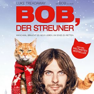 Bob, der Streuner: Bilder und Fotos - FILMSTARTS.de