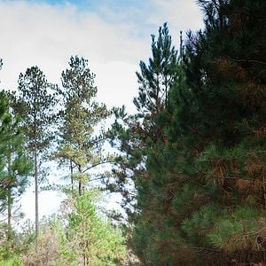 Bilder Left Behind - Vanished: Next Generation