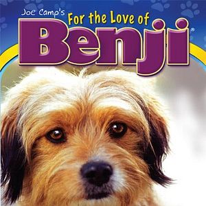 Bilder Benji in Gefahr