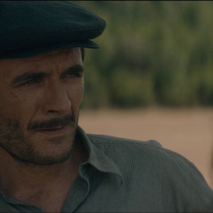 Bilder Alex Brendemühl