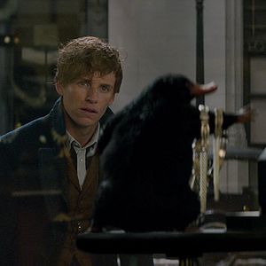 Bilder Eddie Redmayne