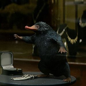 Bilder Phantastische Tierwesen und wo sie zu finden sind