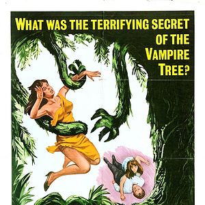 Bilder Das Geheimnis der Todesinsel