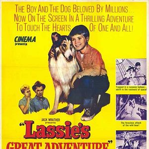 Bilder Lassies größtes Abenteuer