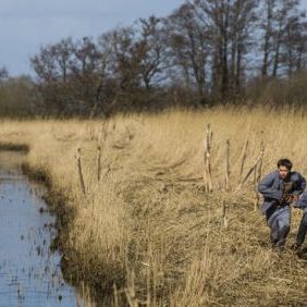 Bilder Der Tag wird kommen