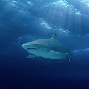 Bilder Wundervolle Welt