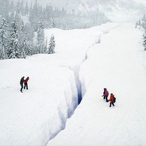 Bilder Eisbeben – Alarm in der Arktis