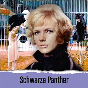Bilder Schwarze Panther