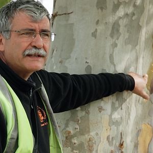 Bilder Le Canal envahi