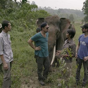 Bilder Leonardo DiCaprio: Before The Flood