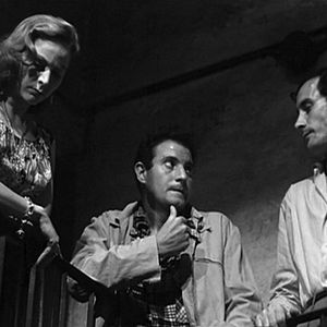 Bilder Montserrat Salvador