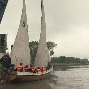 Bilder Von Bananenbäumen träumen