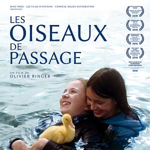 Bilder Zugvögel - Wenn Freundschaft Flügel verleiht